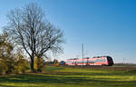 RE15 nach Hoyerswerda am 10.11.2019 zwischen Priestewitz und Großenhain.