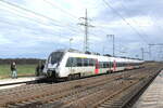 DB 1442 305 als RE 16116 von Leipzig Hbf nach Magdeburg Hbf, am 16.02.2024 in Rodleben.