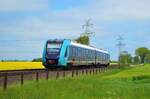 622 665-7 war am 30.05.21 als RB 62 (RB 11912) von Itzehoe nach Heide (Holst.) unterwegs.