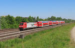 B�hl/Baden - 2. Mai 2025 :  750 Jahre Radolfzell  Werbelok 146 230 am RE 4721 von Karlsruhe nach Konstanz.
Link zum Video : https://www.youtube.com/watch?v=XGaSAIQKYAk