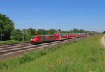 B�hl/Baden - 2. Mai 2025 :  Schwarzwald Erlebnispfad  Werbelok 146 236  Triberg  am RE 4725 von Karlsruhe nach Konstanz.
Link zum Video : https://www.youtube.com/watch?v=XGaSAIQKYAk