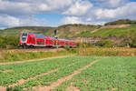 445 048 als RE 4611 (Frankfurt (Main) Hbf - Würzburg Hbf) bei Himmelstadt, 18.09.2019
