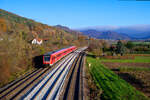 612 166 DB Regio als RE 3020/3560 (Neustadt (Waldnaab)/Regensburg Hbf - Nürnberg Hbf) bei Hersbruck rechts der Pegnitz, 09.11.2020