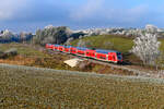 Regelrecht verwunschen wirkte am 31. Dezember 2024 die noch leicht mit Rauhreif überzogene Landschaft bei Fahlenbach in der Hallertau. 445 090 eilte als RB 59095 von Nürnberg HBF nach München HBF durch die winterliche Landschaft. 