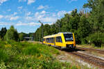1648 202 DLB als OPB 79733 (Marktredwitz - Regensburg Hbf) bei Reuth b. Erbendorf, 14.08.2021