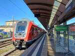 DB 445 059 als RE 4616  Main-Spessart-Express  nach Frankfurt (M) Hbf, am 31.08.2025 in Bamberg.