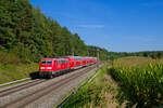 111 217 DB Regio mit RE 58248 (Nürnberg Hbf - Würzburg Hbf) bei Hagenbüchach, 08.09.2021