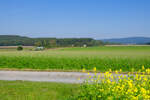 ag 84624 (Bad Steben - Kirchenlaibach) bei Marktleuthen, 14.09.2021