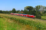 Moderner Regionalverkehr im Linienstern Mühldorf. Am 09. August 2025 beförderte die 245 014 die RB 27025 von München nach Mühldorf. Ich konnte den Zug an einem bereits hoch stehenden Maisfeld bei Wasentegernbach dokumentieren.