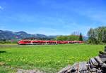 633 035 + 633 049 als RE75/3688 nach Ulm Hauptbahnhof am 02.05.2026 bei Unterthalhofen.