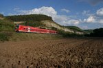 Licht und Schatten herrschten am 23.09.2016 im Maintal zumindest in Bezug auf das Wetter, als 440 324 als RB58048 auf dem Weg von Bamberg nach Schlüchtern kurz vor Karlstadt unterwegs ist.