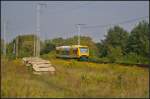 ODEG VT 650.74 / 650 074 als RB36 B.-Lichtenberg am 16.09.2014 durch die Berliner Wuhlheide