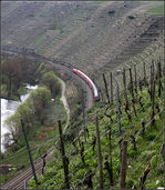Zug am Weinberg -    Ein Regionalexpress-Zug auf dem Weg nach Stuttgart passiert zwischen Walheim und Besigheim im Neckartal steile Weinberglagen.