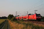 Nachschuss auf 146 110-2  Baden Württemberg erfahren/Müllheim (Baden)  am 11.06.2015, als sie in der Abendsonne ihren RE (Basel Bad Bf - Freiburg (Brsg) Hbf) bei Buggingen gen Norden schob.