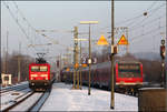 Kurzer Schreck -

Das Signal ganz rechts hatte ich als das Signal für den ausfahrenden Zug gehalten, der dann scheinbar trotz Rot losfuhr. Dann dachte ich seine Fahrstraße verliefe über die hinter dem anderen Signal sichtbare Gleisverbindung und es würde gleich zu einer Flankenfahrt kommen. Glücklicherweise hatte alles seine Richtigkeit und es drohte keine Gefahr.

Begegnung zweier RE-Züge aus bzw. nach Nürnberg im Bahnhof Schwäbisch Hall-Hessental.

22.01.2017 (M)