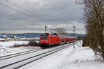 146 244 DB Regio mit dem RE (München Hbf - Nürnberg Hbf) bei Pölling, 13.01.2020
