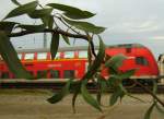 Hier fhrt der RE ber Regensburg nach Nrnberg. 03.10.2009 Mangolding