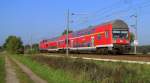 Auch die RB43 war in Tornitz vertreten. Die fuhr von Falkenberg/Elster ber Calau/Nl. nach Cottbus. 04.10.2010