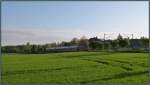 Man riecht den Morgen förmlich,das satte Grün der Felder und Bäume,die frische Luft, und mitten drin der Wupper Express (RE4) unterwegs nach Aachen. Ein Lnadschaftsfoto aus Rimburg (Übach Palenberg) im April 2014.