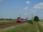 622 538 der DB Regio kurz hinter Bobenheim. (30.05.18)
