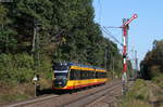 Tw 953 und Tw 9** als S7 nach Achern bei Forchheim 25.9.18