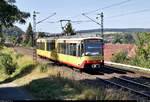 Duewag/Siemens GT8-100D/2S-M, Wagen 881, der Albtal-Verkehrs-Gesellschaft mbH (AVG) als S5 von Karlsruhe Albtalbahnhof nach Pforzheim Hbf fährt in Bilfingen (Kämpfelbach) auf der Bahnstrecke Karlsruhe–Mühlacker (Residenzbahn | KBS 770).
[30.7.2020 | 16:15 Uhr]