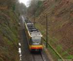 AVG Triebwagen 886 und *** als S$ nach Karlsruhe HBf bei Bauerbach 17.3.08