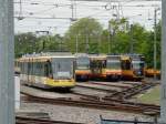 VBK 242 und AVG 918,829 und 951 in Karlsruhe Betriebshof West beim Tag der Offenen Tür bei der VBK am 25.04.15