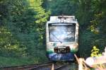 An einem herrlichen Sommermorgen fahren 5x BR 650 der  BSB von Breisach in Richtung Freiburg in Gottenheim ein.