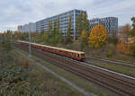 485 038 war am 11.11.2023 an der Spitze eines Dreiviertelzuges auf der Linie S85 vom Pamkow nach Schöneweide unterwegs.