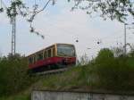 Eine S-Bahn der Linie 2 ist gerade aus Karow in Richtung Blankenburg ausgefahren. 18.4.2009