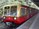 Die Baureihe 485 (hier Triebkopf 078) zeigt sich zunehmend in traditionellen Berliner S-Bahn-Farben. Hier nur ein umlackiertes Fahrzeug, gut zu erkennen die  geschmackvolle  Einrichtung in rosa und lila Farbtnen.

Viele Fahrzeuge werden bereits modernisiert, haben dann keine geteilte Frontscheibe mehr und werden innen mit neuen Sitzpolstern und Farben versehen.