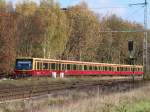 30.10.2013 Zepernick. Dreiviertelzug nach Bernau.