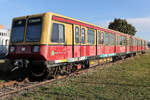 Diese S-Bahn ist im Gelände des Flughafen BBR abgestellt.