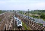 1442 165 (Bombardier Talent 2) der S-Bahn Mitteldeutschland (MDSB II | DB Regio Südost) als S 37710 (S7) von Halle(Saale)Hbf Gl. 13a nach Halle-Nietleben passiert den Abzweig Thüringen (At).
Diese Fahrzeuge kommen dort normalerweise nicht zum Einsatz.
Aufgenommen von der Brücke Dieselstraße in Halle (Saale).
[19.5.2018 | 7:23 Uhr]