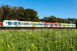 423 683 ist zur Zeit bunt bemalt um 50 jähre S Bahn München zu zelebrieren.