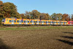 423 083 orange S-Bahm München am 30.10.25 bei Eglharting.