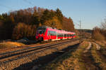 442 768 als S3 39358 von Neumarkt (Oberpf) nach Nürnberg Hbf bei Postbauer-Heng, 24.02.2019