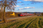 442 249 DB Regio als S3 39358 (Neumarkt (Oberpf) - Nürnberg Hbf) bei Pölling, 19.02.2022