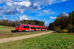 442 265 DB Regio als S3 39360 (Neumarkt (Oberpf) - N�rnberg Hbf) bei Mimberg, 06.04.2022