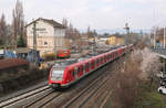 DB Regio 430 190 + 430 186 // Mainz-Kastel // 26.
