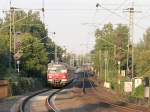 Die S-Bahn nach Wiesbaden hat vor Kurzem den im Hintergrund sichbaren Bahnhof Gustavsburg verlassen und wird gleich den Rhein berqueeren.