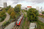 DB Regio 425 212 // Ludwigshafen am Rhein; Südliche Anschlussbahn zur BASF // 6.