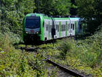 Mitte August 2026 habe ich den Elektrotriebzug 3429 002 umgeben vom Hattinger Gr�n fotografiert.