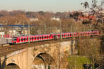 Noch sind artreine rote S-Bahnen in Stuttgart zu sehen. Am 16.12.2023 überquert ein von 430 033 angeführter Langzug als S1 Kirchheim-Herrenberg den Neckar in Stuttgart-Bad Cannstatt. 