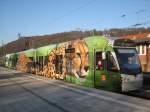 Auf dem Foto ist die Saarbahn mit neuer Werbung für den Saarbrücker Zoo der in diesem Jahr 80 Jahre alt wird zu sehen.