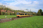 AVG 922 erreicht Heselbach als S8 nach Baiersbronn. (16.10.2022)