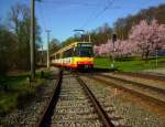 Aufgrund der prächtigen Blüte am Bahnhof Etzenrot konnte am 20.03.2014 ein farbenfrohes Bild mit S 30034 nach Bad Herrenalb entstehen.