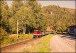 Am 6.10.2026 war auf der Zittauer Schmalspurbahn neben Dampf auch Diesel Betrieb.