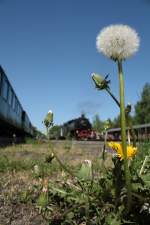 Beim warten auf die Ausfahrt des Zuges der Zittauer Schmalspurbahnen kam dieses Foto zu stande.